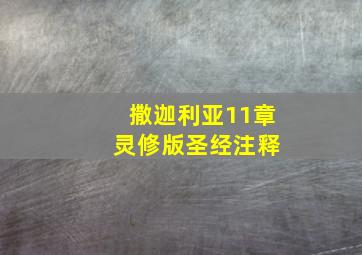 撒迦利亚11章 灵修版圣经注释